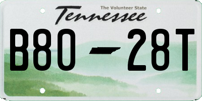 TN license plate B8028T
