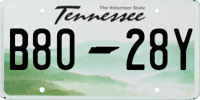 TN license plate B8028Y