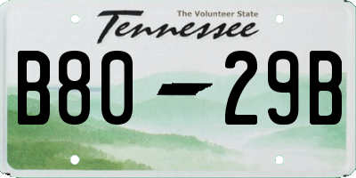 TN license plate B8029B
