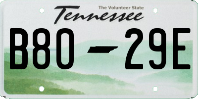 TN license plate B8029E