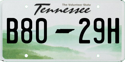 TN license plate B8029H