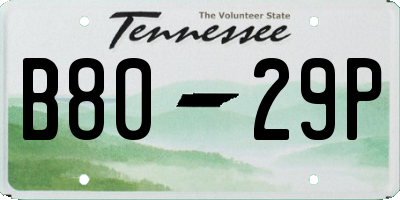 TN license plate B8029P