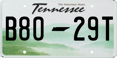 TN license plate B8029T