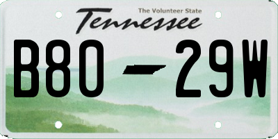 TN license plate B8029W