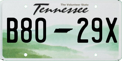 TN license plate B8029X