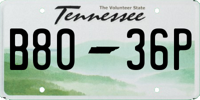 TN license plate B8036P