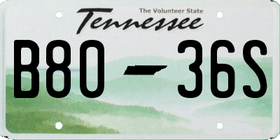 TN license plate B8036S