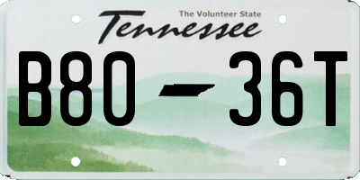 TN license plate B8036T