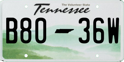 TN license plate B8036W