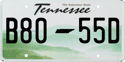 TN license plate B8055D