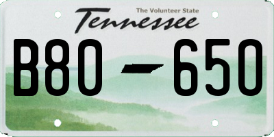 TN license plate B8065O