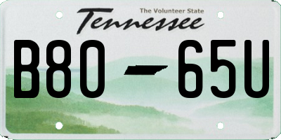TN license plate B8065U