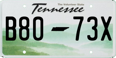 TN license plate B8073X