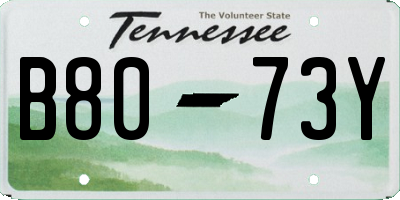 TN license plate B8073Y