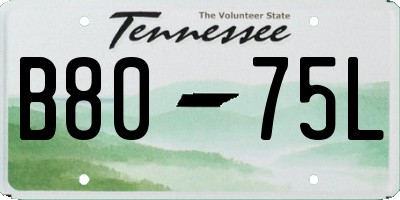 TN license plate B8075L