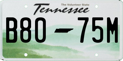 TN license plate B8075M