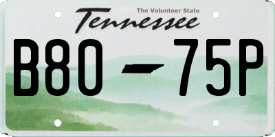 TN license plate B8075P