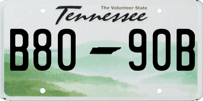TN license plate B8090B