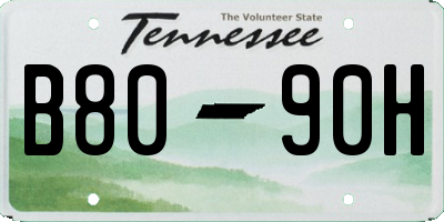 TN license plate B8090H