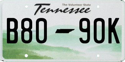 TN license plate B8090K