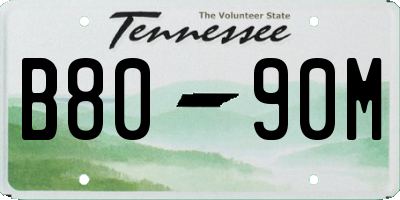 TN license plate B8090M
