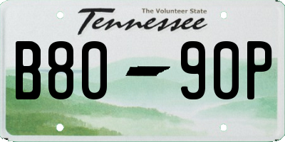 TN license plate B8090P