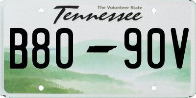 TN license plate B8090V