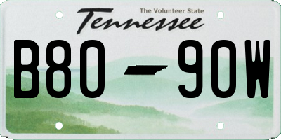 TN license plate B8090W