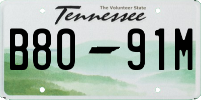 TN license plate B8091M