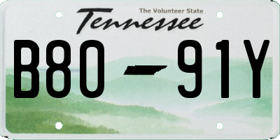 TN license plate B8091Y