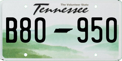TN license plate B8095O