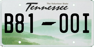 TN license plate B8100I