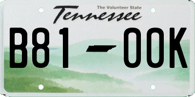TN license plate B8100K