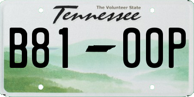 TN license plate B8100P