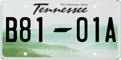 TN license plate B8101A