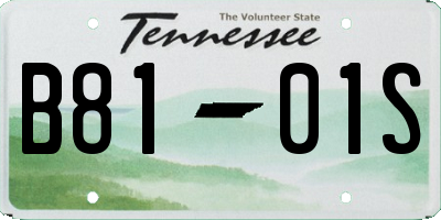 TN license plate B8101S