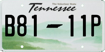 TN license plate B8111P