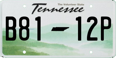 TN license plate B8112P