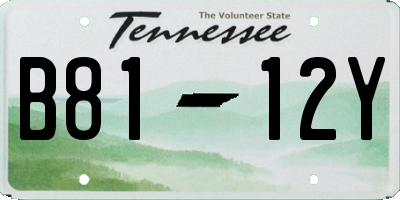 TN license plate B8112Y