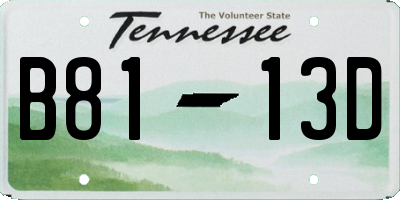 TN license plate B8113D