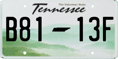 TN license plate B8113F
