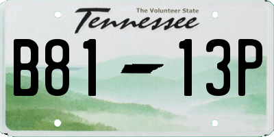 TN license plate B8113P