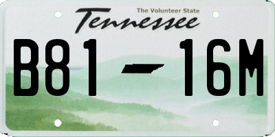 TN license plate B8116M