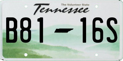 TN license plate B8116S