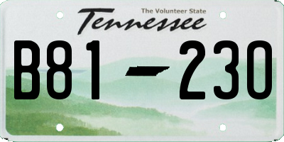TN license plate B8123O