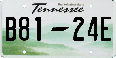 TN license plate B8124E