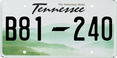 TN license plate B8124O