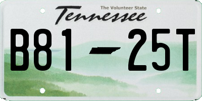 TN license plate B8125T