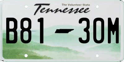 TN license plate B8130M