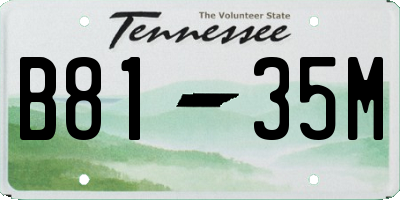 TN license plate B8135M